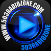 undefined 503radiozone