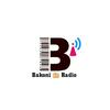 undefined Bakoni Radio