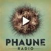 undefined Phaune radio 