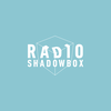 undefined Radio Shadowbox