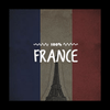 undefined 100% France - Radios 100FM