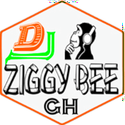 Radio Dj Ziggy Bee pro