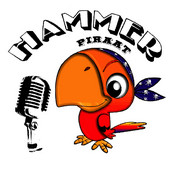 Radio De HammerPiraat