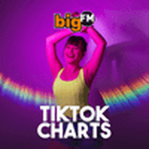 bigFM TikTok Charts