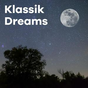 Ascolta Klassik Radio Klassik Dreams nell'app