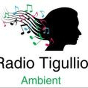 Ascolta radio-tigullio-ambient nell'app