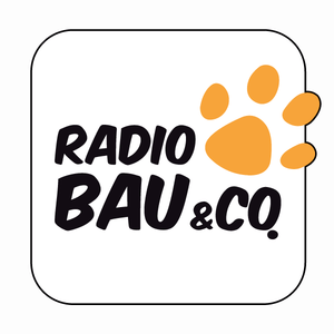 Ascolta Radio 105 - Bau & Co nell'app