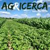 undefined agRicerca