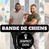 undefined Bande de Chiens !