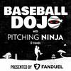 undefined Baseball Dojo with Pitching Ninja