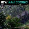 undefined Best Rain Sounds