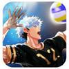 undefined Best Volleyball Game "The Spike"