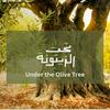 undefined BuildPalestine: Under the Olive Tree