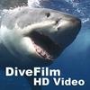 undefined DiveFilm HD Video