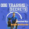 undefined Dog Training Secrets