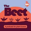 undefined The Beet: A Podcast For Plant Lovers