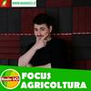 undefined Focus AGRICOLTURA e AGROALIMENTARE - RadioUCI