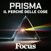 undefined Focus Prisma - Il perché delle cose