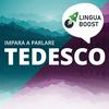 undefined Impara il tedesco con LinguaBoost