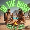 undefined IN THE BUSH Podcast