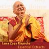 undefined Lama Zopa Rinpoche Essential Extracts