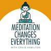 undefined Meditation Changes Everything