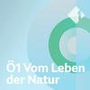 undefined Ö1 Vom Leben der Natur