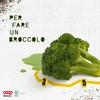 undefined Per fare un broccolo