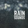 undefined Rain Sounds