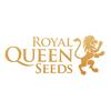 undefined Royal Queen Seeds - Cannabis podcast