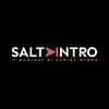 undefined SALTA INTRO - Il podcast di Serial Minds