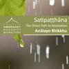 undefined Satipaṭṭhāna / Satipatthana : The Direct Path to Realization by Analayo - Readings and comments by Ajahn Amaro