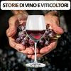 undefined Storie di Vino e Viticoltori