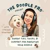 undefined The Doodle Pro® Podcast: Unleashing Expert Training, Grooming, & Health Tips for Doodle Dogs & Puppies