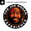 undefined The Joe Rogan Experience