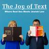 undefined The Joy of Text: Where Real Sex Meets Jewish Law