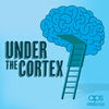 undefined Under the Cortex