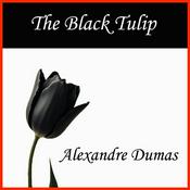 Podcast The Black Tulip