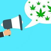 Podcast Cannabis News