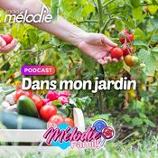 Podcast Dans mon jardin - Radio Mélodie