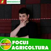 Podcast Focus AGRICOLTURA e AGROALIMENTARE - RadioUCI