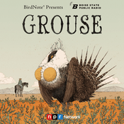 Podcast Grouse