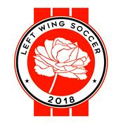 Podcast Left Wing Soccer