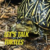 Podcast Let's Talk Turtles