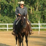 Podcast Matteoni Horsemanship