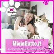 Podcast MicioGatto - Tutto sui gatti!