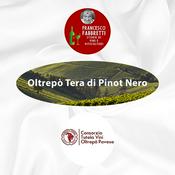 Podcast Oltrepò Terra di Pinot Nero