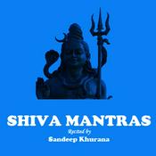 Podcast Om Nama Shivaya - Shiva Mantra Chants recited by Sandeep Khurana