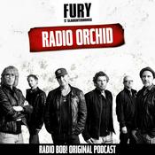 Podcast Radio Orchid – der Fury in the Slaughterhouse Podcast bei RADIO BOB!