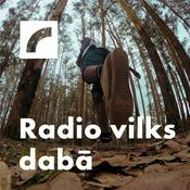 Podcast Radio vilks dabā